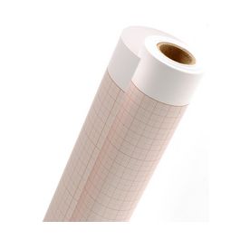 CANSON Papier millimétré en rouleau, 750 mm x 10 m, 90 g/m2