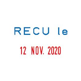 COLOP Tampon dateur Mini Dater S160 L1 "RECU le", FR