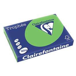 Clairefontaine Papier universel Trophée A3, vert nature