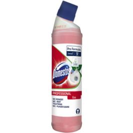 Domestos Professional Nettoyant pour toilettes Eco, 0,75 L