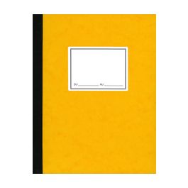 ELVE Piqûre comptable à colonnes, 310 x 210 mm, 100 pages