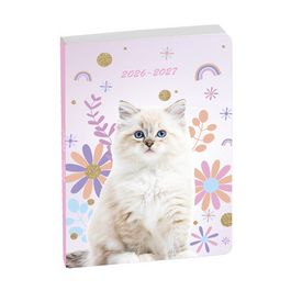 EXACOMPTA Agenda scolaire FORUM, 2026/2027, Chat blanc