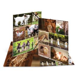 HERMA Chemise à élastiques "Animaux de ferme", carton, A4