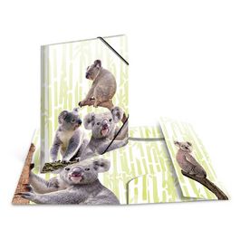 HERMA Chemise à élastiques Animaux exotiques, A3, koalas
