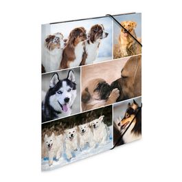 HERMA Chemise à élastiques "chiens", en carton,