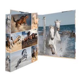 HERMA Classeur à anneaux "chevaux", A4, mécanisme 4 anneaux