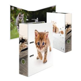 HERMA Classeur à motif "Animaux préférés" Chat, A4