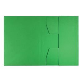 LEITZ Chemise-trieur, A4, carton de 430 g/m2, vert