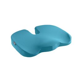 LEITZ Coussin d'assise Ergo Cosy, bleu