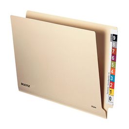 LEITZ Einstellmappe OrgacolorPlus, A4, mit Tab, chamois x50