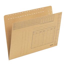 LEITZ Einstellmappe, vertikal, A4, natron x100