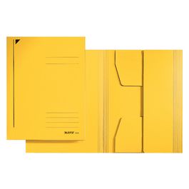 LEITZ chemise-trieur, format A4, carton robuste coloré 430