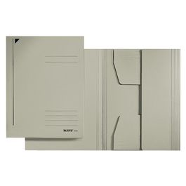 LEITZ chemise-trieur, format A4, carton robuste coloré 430