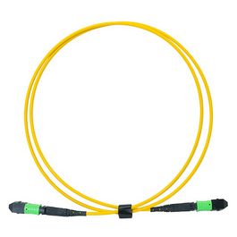 LogiLink Câble patch MPO, 12 fibres, Singlemode, OS2, 1 m
