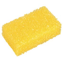 NIGRIN Eponge insecte, nettoie les restes d'insectes tenaces