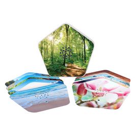 OLYMP Boîte à gazouillis Sounds of Nature, 4 sons, blanc