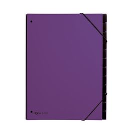 PAGNA Trieur Trend, A4, 12 compartiments, violet