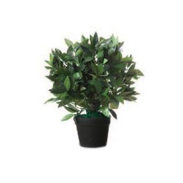 PAPERFLOW Plante artificielle "Laurier", hauteur : 500 mm