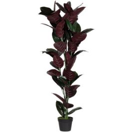 PAPERFLOW Plante artificielle "caoutchouc", hauteur 1.200 mm