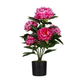 PAPERFLOW Plante artificielle "pivoine", (H)550 mm, rose