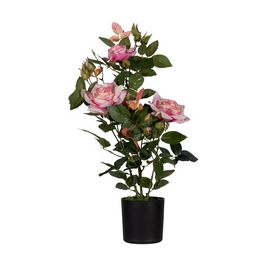 PAPERFLOW Plante artificielle "rosier", (H)540 mm, rose