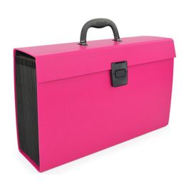 RAPESCO Trieur valisette, A4, 19 compartiments, rose vif