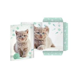 RNK Verlag Carton à dessin "Chaton", A3