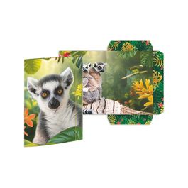 RNK Verlag Carton à dessin "Lémurien", A3