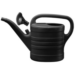 orthex Pomme d'arrosoir, arrosoir de 5 litres