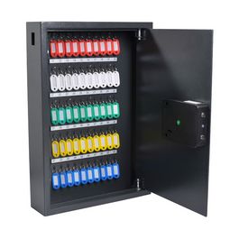 pavo Coffre-fort à clés Haute Sécurité, pour 50 clés