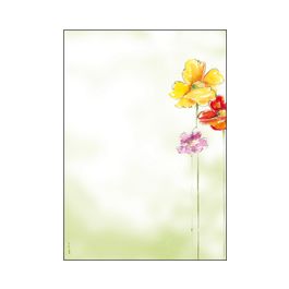 sigel Papier à motif, A4, 90 g/m2, motif "Spring Flowers"