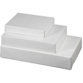 smartboxpro Caisse carton télescopique E-Commerce, petit, x20