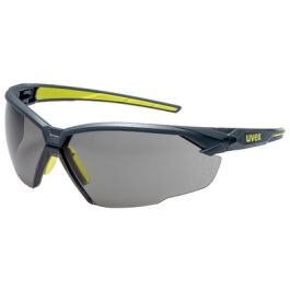 uvex Lunettes de protection suXXeed, oculaires: gris