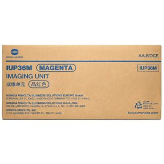 Photoconducteur d'origine Konica Minolta AAJV0CE / IUP-36 M - magenta